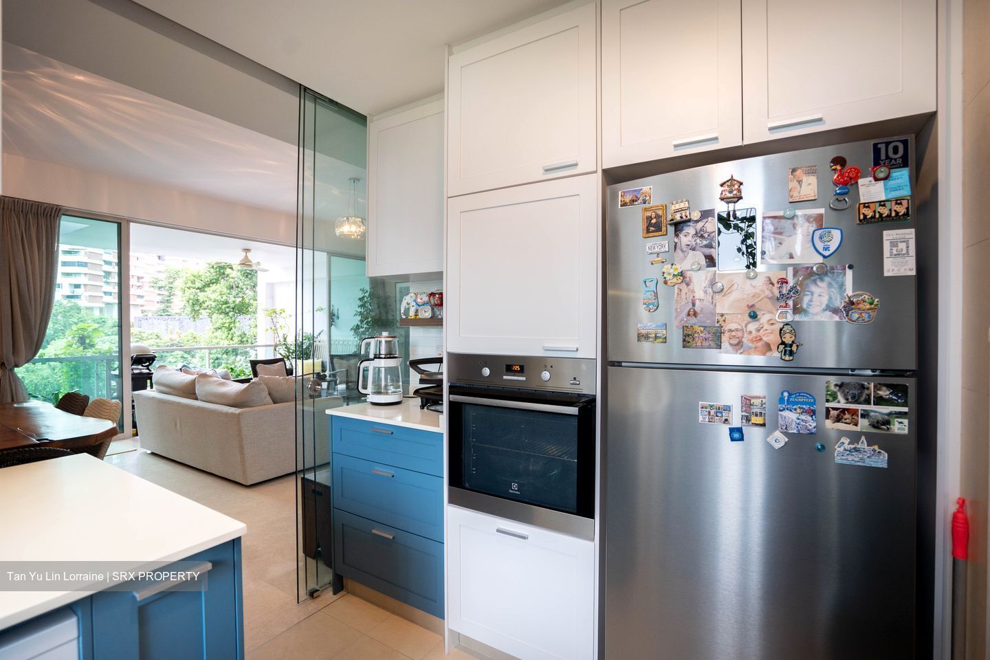 Montview (D10), Condominium #494193051